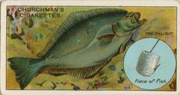 1914 Churchman's Fish & Bait (C11) #38 Halibut Front