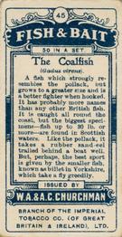 1914 Churchman's Fish & Bait (C11) #45 Coalfish Back