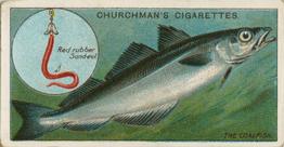 1914 Churchman's Fish & Bait (C11) #45 Coalfish Front