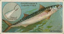 1914 Churchman's Fish & Bait (C11) #49 Mackerel Front
