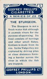 1924 Godfrey Phillips Fish #3 Sturgeon Back