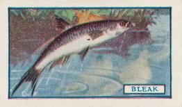 1924 Godfrey Phillips Fish #4 Bleak Front