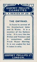 1924 Godfrey Phillips Fish #7 Gwyniad Back