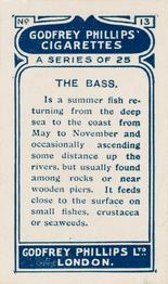 1924 Godfrey Phillips Fish #13 Bass Back