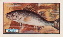1924 Godfrey Phillips Fish #13 Bass Front