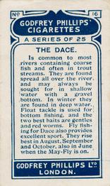 1924 Godfrey Phillips Fish #16 Dace Back
