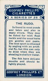 1924 Godfrey Phillips Fish #17 Rudd Back