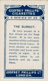 1924 Godfrey Phillips Fish #18 Burbot Back