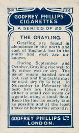 1924 Godfrey Phillips Fish #24 Grayling Back