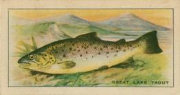 1926 Chairman Cigarettes Fish #1 Great Lake Trout Front