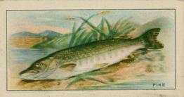 1926 Chairman Cigarettes Fish #4 Pike Front