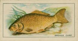 1926 Chairman Cigarettes Fish #6 Bronze Carp Front
