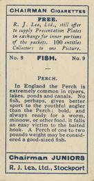1926 Chairman Cigarettes Fish #9 Perch Back