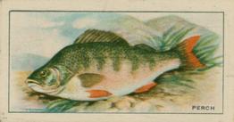 1926 Chairman Cigarettes Fish #9 Perch Front
