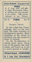 1926 Chairman Cigarettes Fish #13 Salmon Trout Back