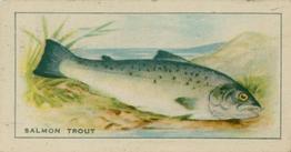 1926 Chairman Cigarettes Fish #13 Salmon Trout Front