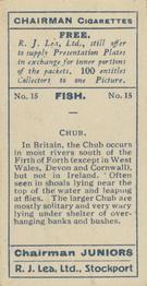 1926 Chairman Cigarettes Fish #15 Chub Back