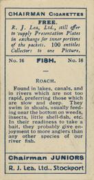 1926 Chairman Cigarettes Fish #16 Roach Back