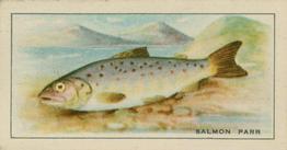 1926 Chairman Cigarettes Fish #19 Salmon Parr Front