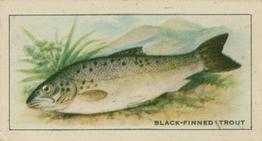 1926 Chairman Cigarettes Fish #21 Black-finned Trout Front