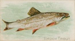 1900 American Tobacco Co. Fish From American Waters (T407) #NNO Brook Trout Front
