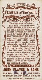 1903 Player's Fishes of the World #NNO Armed Gurnard Back