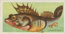 1903 Player's Fishes of the World #NNO Armed Gurnard Front