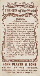 1903 Player's Fishes of the World #NNO Bass Back