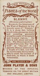 1903 Player's Fishes of the World #NNO Blenny Back
