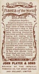 1903 Player's Fishes of the World #NNO Dolphin Back