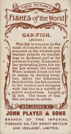 1903 Player's Fishes of the World #NNO Gar-fish Back