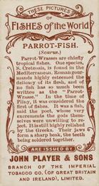 1903 Player's Fishes of the World #NNO Parrot-fish Back
