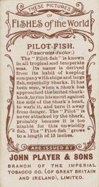 1903 Player's Fishes of the World #NNO Pilot-fish Back