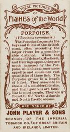 1903 Player's Fishes of the World #NNO Porpoise Back