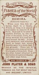 1903 Player's Fishes of the World #NNO Remora Back