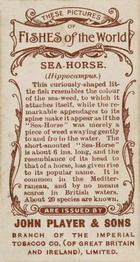1903 Player's Fishes of the World #NNO Sea-Horse Back
