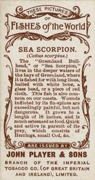 1903 Player's Fishes of the World #NNO Sea Scorpion Back