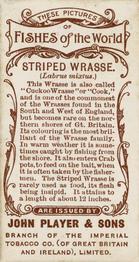 1903 Player's Fishes of the World #NNO Striped Wrasse Back