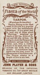1903 Player's Fishes of the World #NNO Tarpon Back