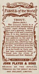 1903 Player's Fishes of the World #NNO Trout Back