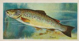 1903 Player's Fishes of the World #NNO Trout Front