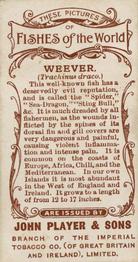 1903 Player's Fishes of the World #NNO Weever Back