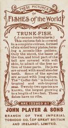 1903 Player's Fishes of the World #NNO Trunk-fish Back
