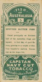 1912 Capstan Navy Cut Tobacco Fish of Australasia #5 Spotted Butter Fish Back