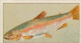 1912 Capstan Navy Cut Tobacco Fish of Australasia #11 Rainbow Trout Front