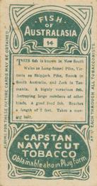 1912 Capstan Navy Cut Tobacco Fish of Australasia #14 Long-finned Pike Back