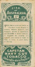 1912 Capstan Navy Cut Tobacco Fish of Australasia #27 Kingfish Back