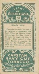 1912 Capstan Navy Cut Tobacco Fish of Australasia #28 Black Sole Back