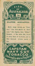 1912 Capstan Navy Cut Tobacco Fish of Australasia #36 Snapper Back