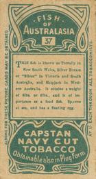 1912 Capstan Navy Cut Tobacco Fish of Australasia #37 Silver Bream Back